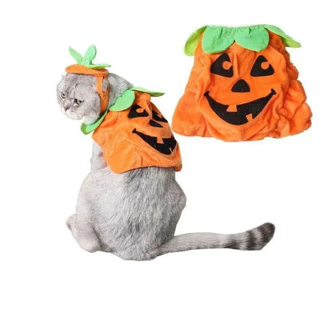Yellow pumpkin Halloween pet costume with green leaf decoration on a cat wearing the hat and dress