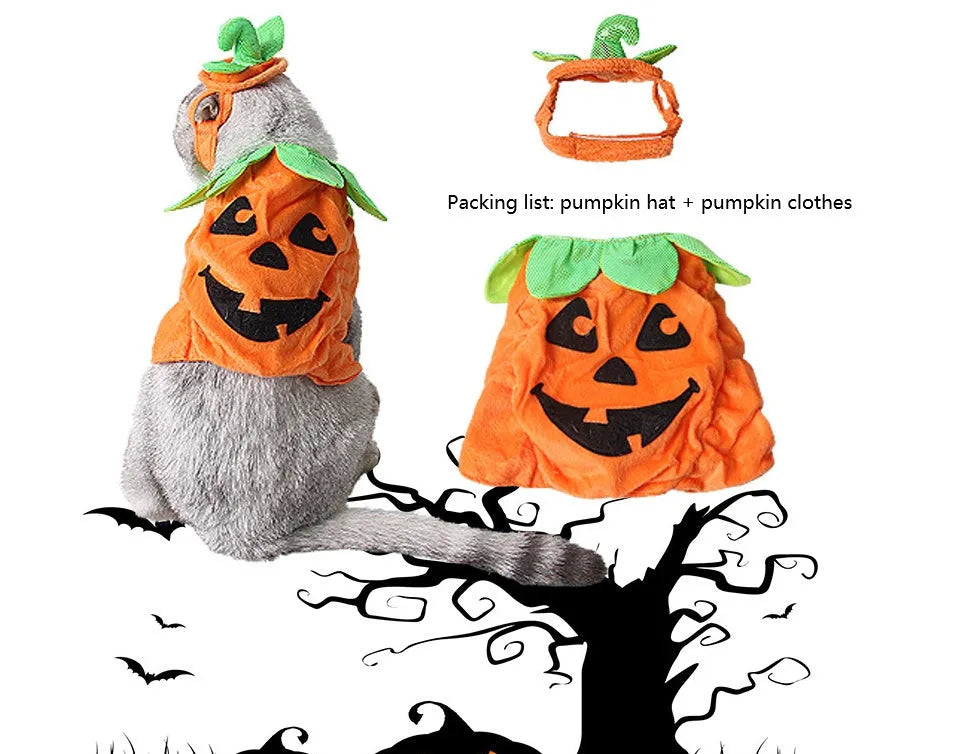 Yellow pumpkin Halloween pet costume with green leaf decoration on a cat wearing the hat and dress