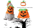Yellow pumpkin Halloween pet costume with green leaf decoration on a cat wearing the hat and dress