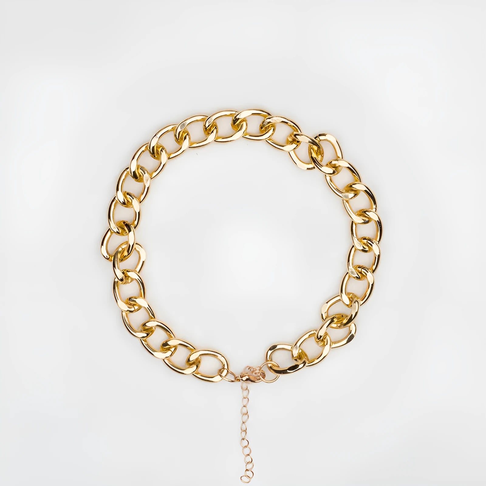 Gold metal pet necklace with extension chain on a cat or dog