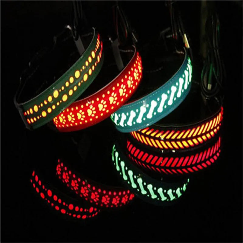 LED light pet collar USB rechargeable adjustable 40-60cm length 2.5cm width for dogs cats