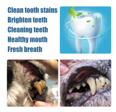 Pet teeth whitening pen with dental brush for dog and cat tartar removal