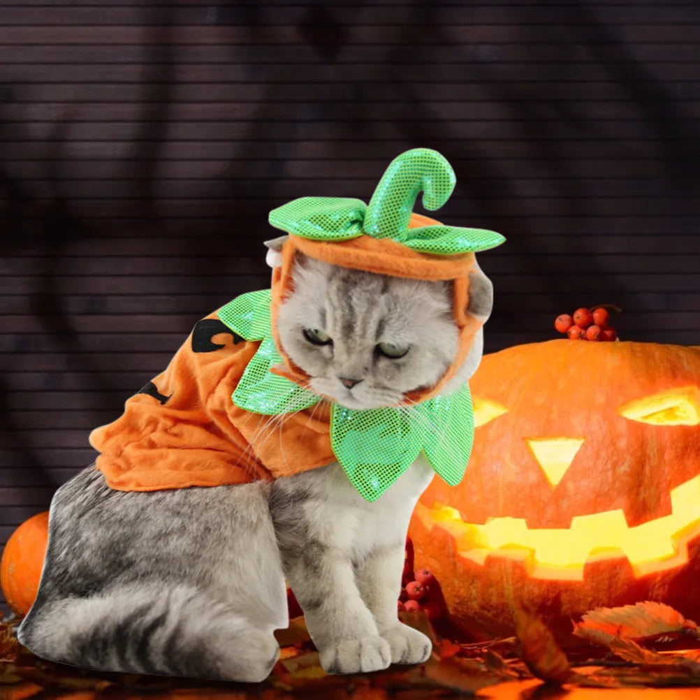Yellow pumpkin Halloween pet costume with green leaf decoration on a cat wearing the hat and dress