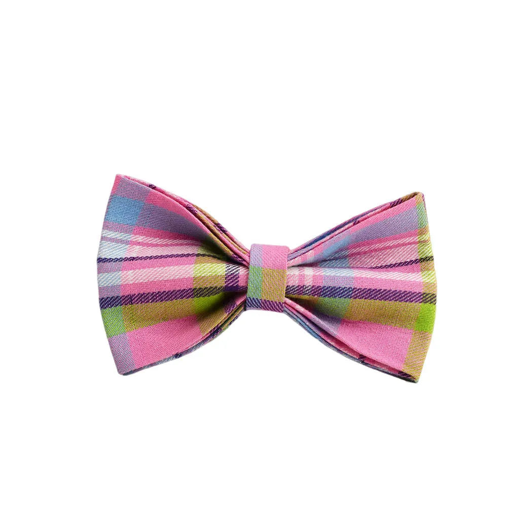 Qicaigei four-piece cloth dog collar, leash, vest, and bow set laid flat, showing assorted colour options.