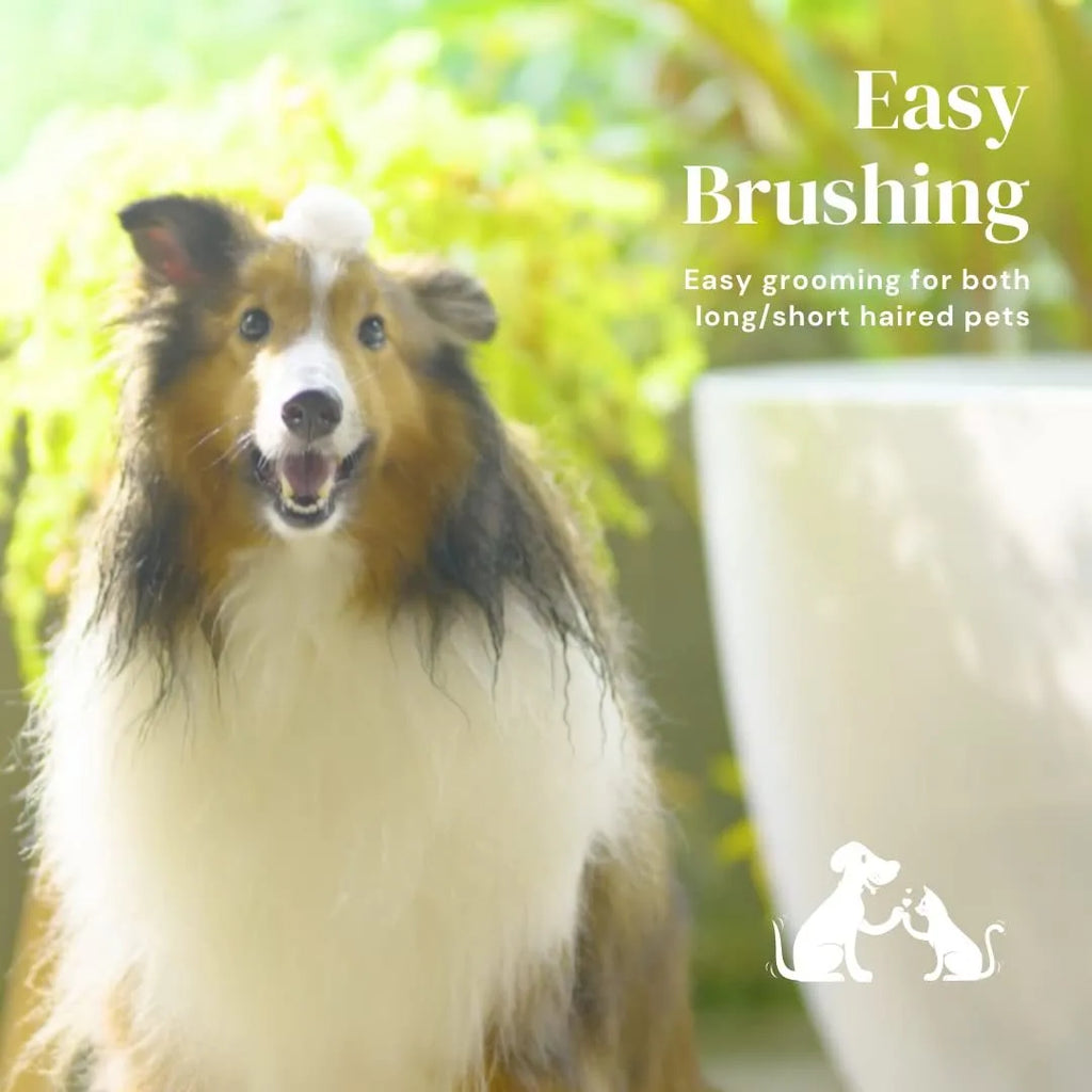 Self-cleaning pet grooming brush with stainless steel tips and blue rubber handle