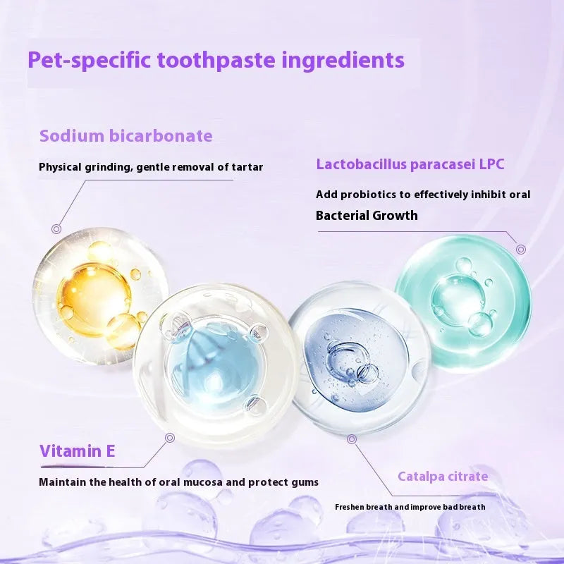 Pet teeth whitening brush pen with 5ml dental gel for dogs and cats