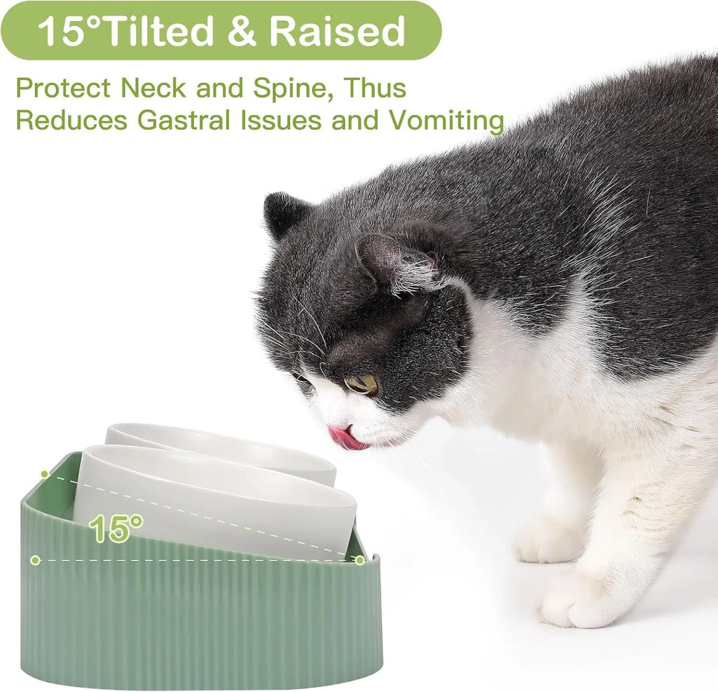Green elevated ceramic cat bowl set with two bowls on a tilted stand, showing non-slip base.