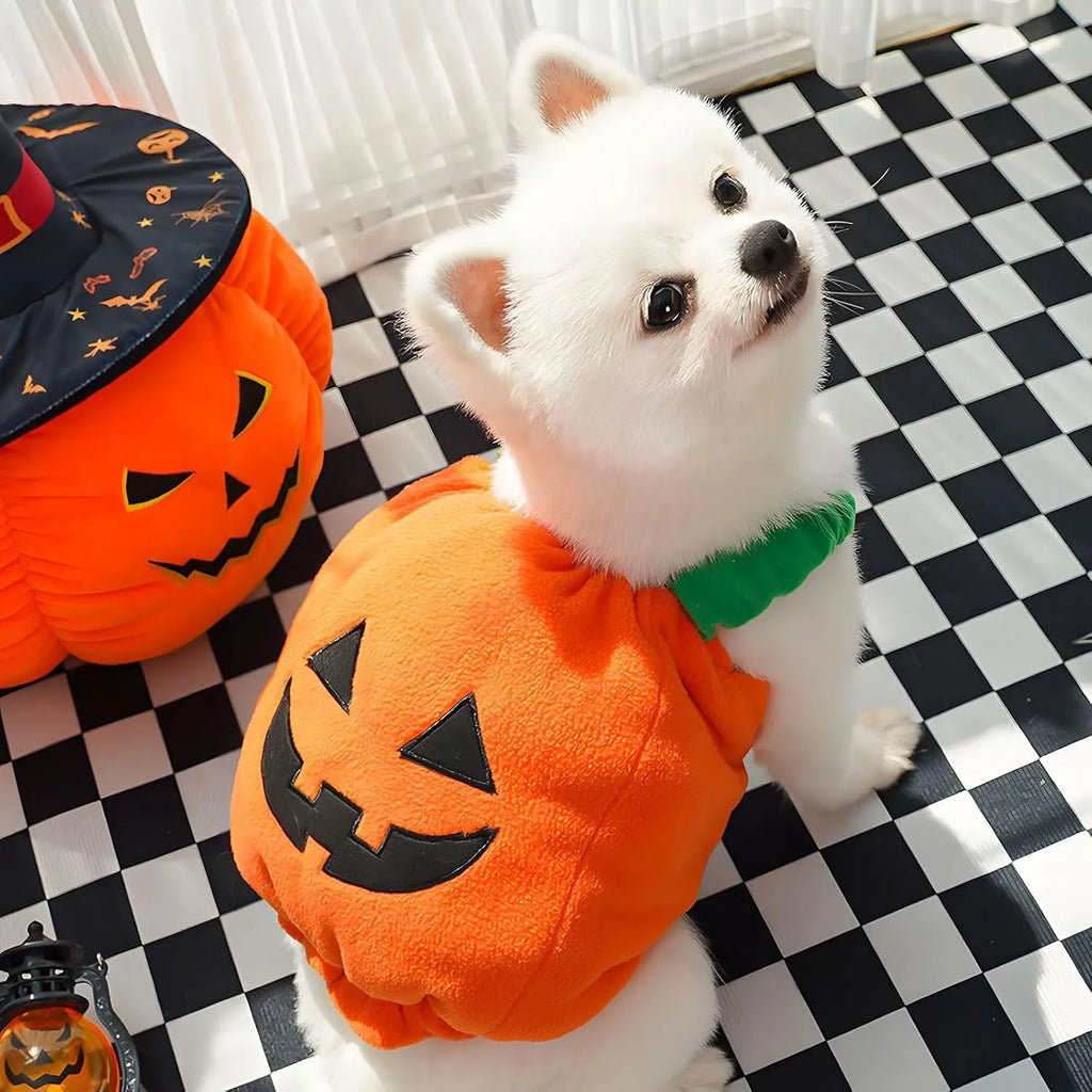 Orange plush pumpkin-shaped Halloween costume for a small dog, showing pullover design and soft texture.
