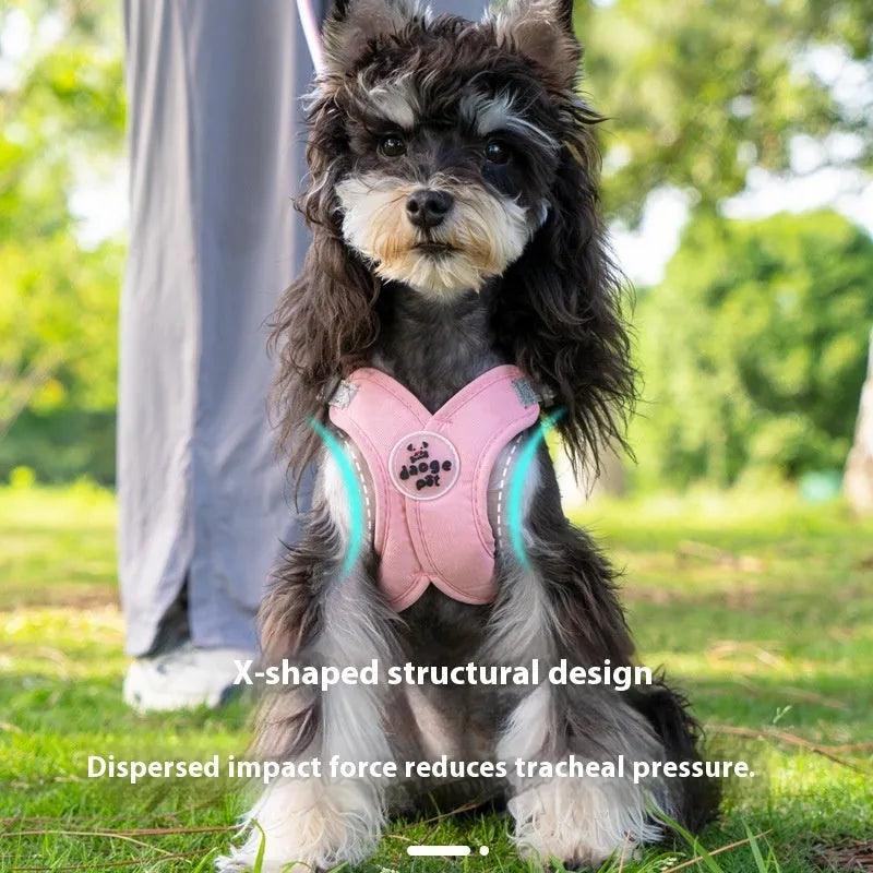 Polyester dog harness and rope lead set in blue, shown on a model dog.
