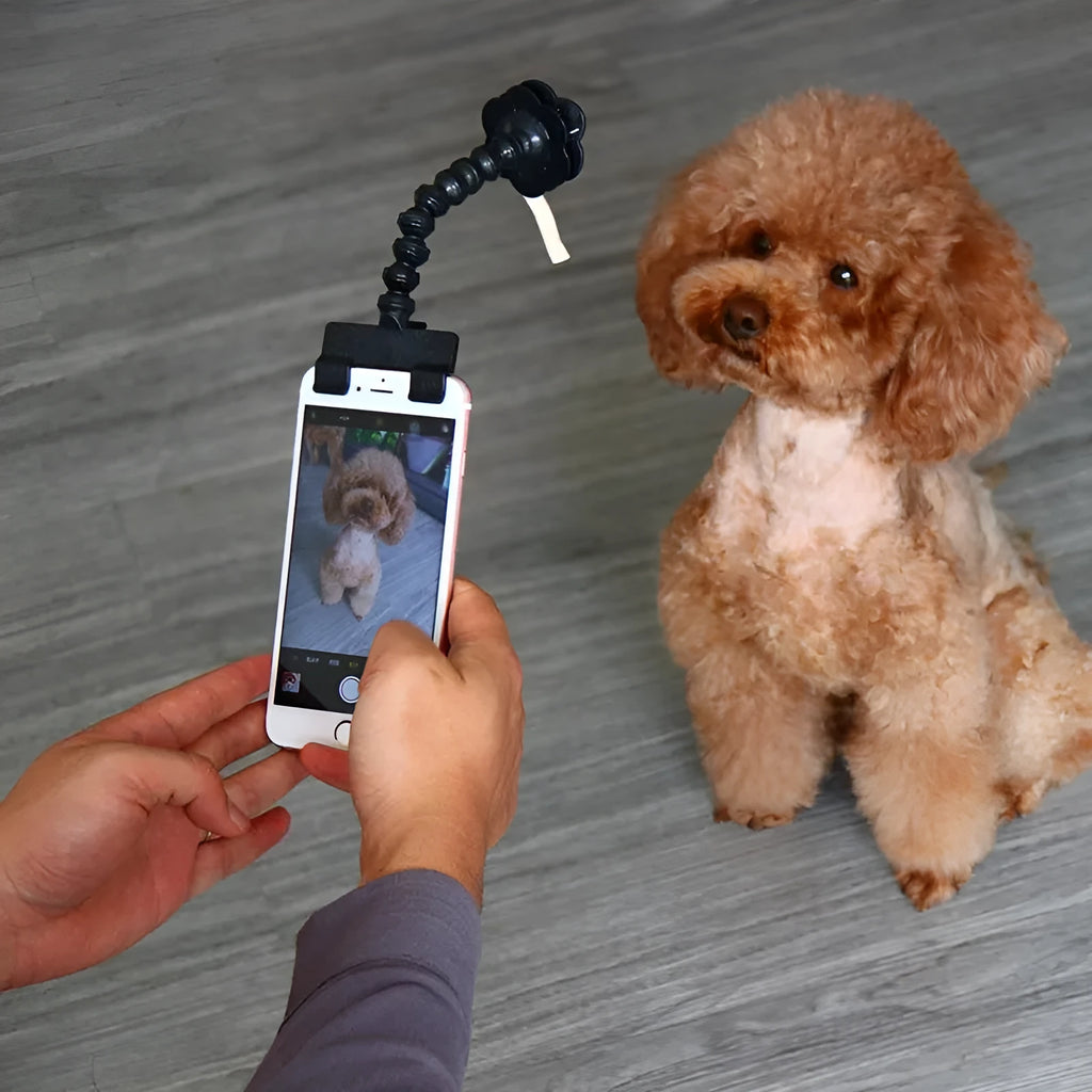 Black pet selfie stick with square and flower-shaped clips for holding pet toys during photography