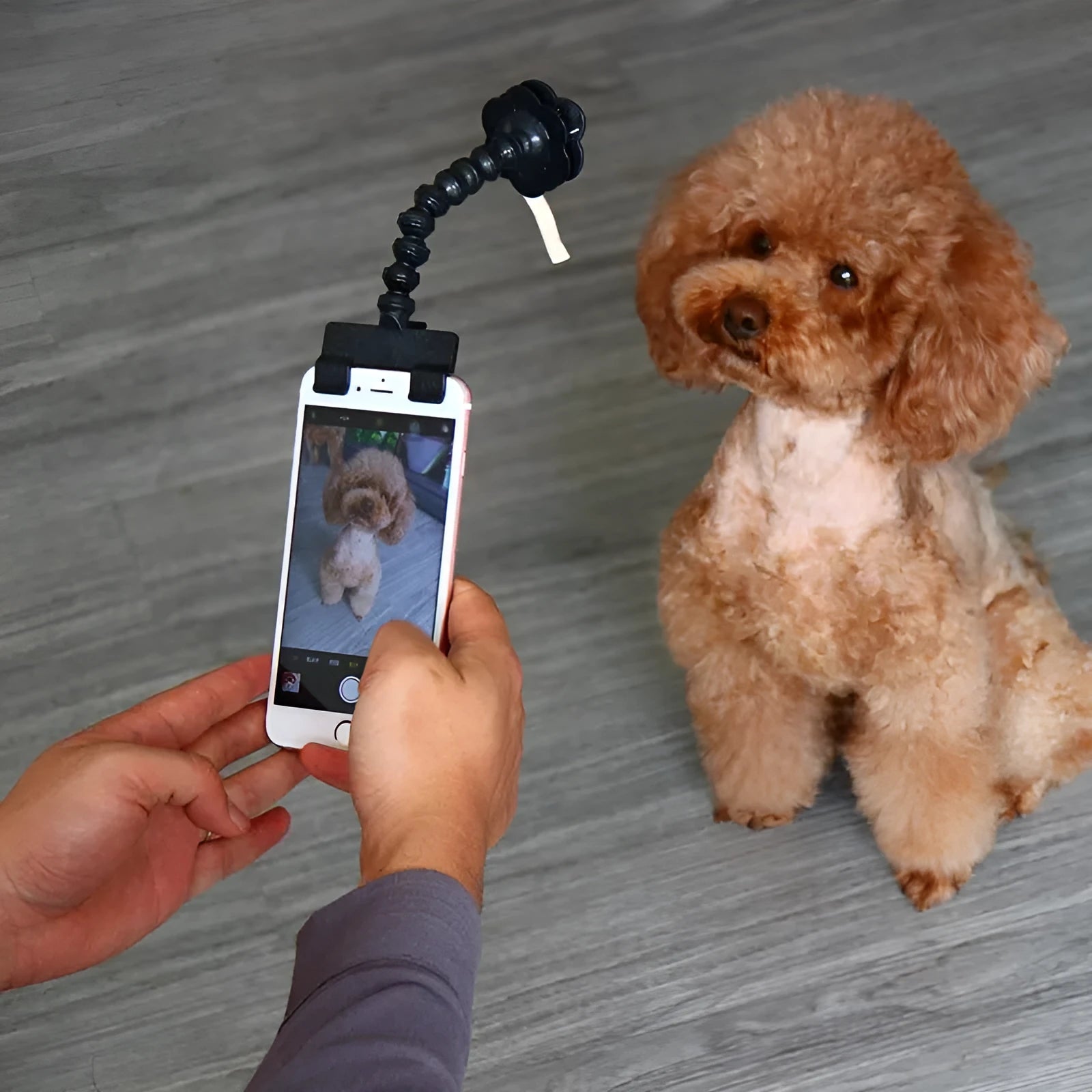 Black pet selfie stick with square and flower-shaped clips for holding pet toys during photography