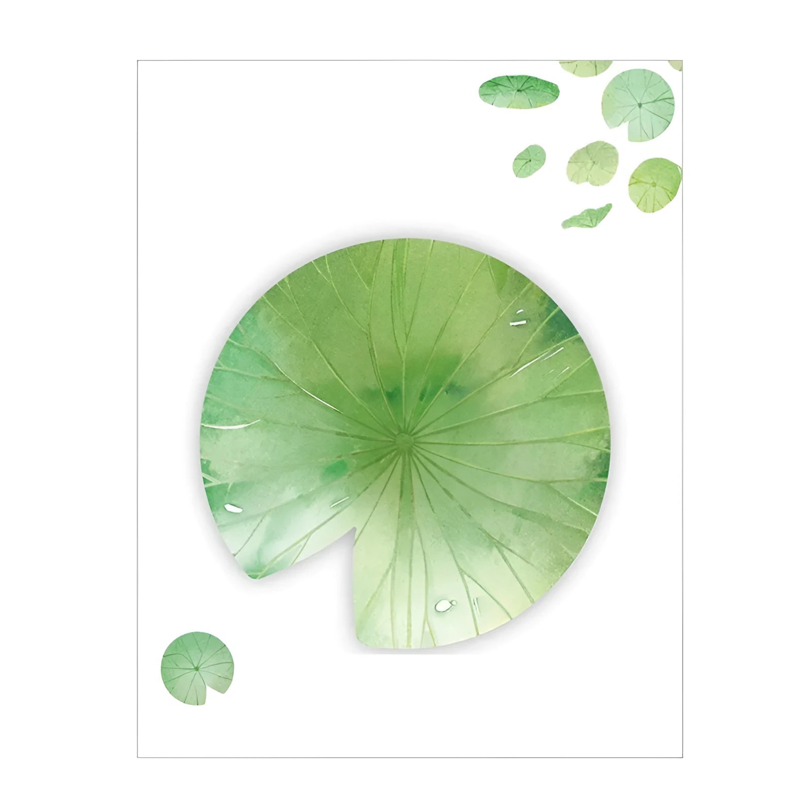 A pad of sticky notes with eight different illustrated leaf designs, including Water Lily and Maple Leaf motifs.