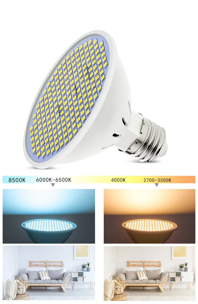 E27 screw base LED lamp cup bulb showing cool white and warm white light options.