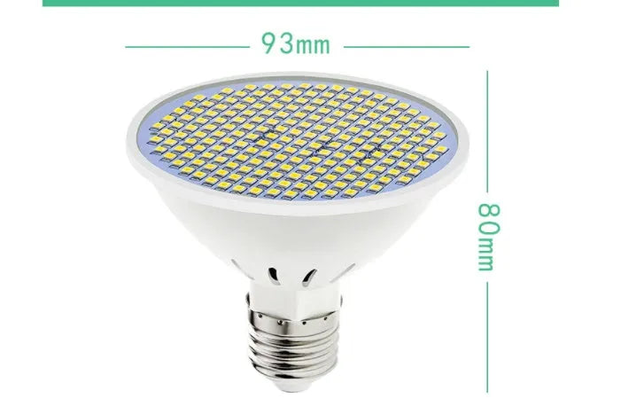 E27 screw base LED lamp cup bulb showing cool white and warm white light options.