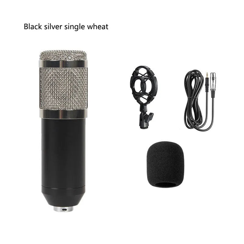 BM800 condenser microphone with V8 sound card, metal bracket, shock mount, and large pop filter on a desk.