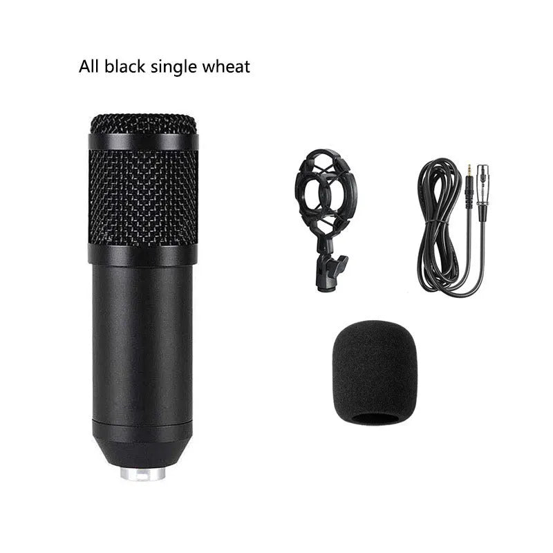 BM800 condenser microphone with V8 sound card, metal bracket, shock mount, and large pop filter on a desk.