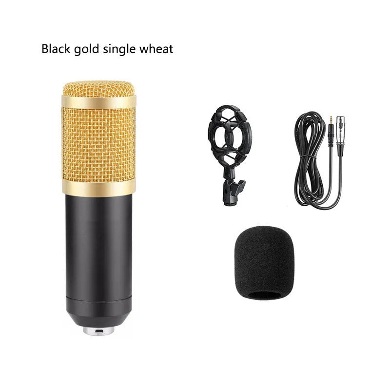 BM800 condenser microphone with V8 sound card, metal bracket, shock mount, and large pop filter on a desk.