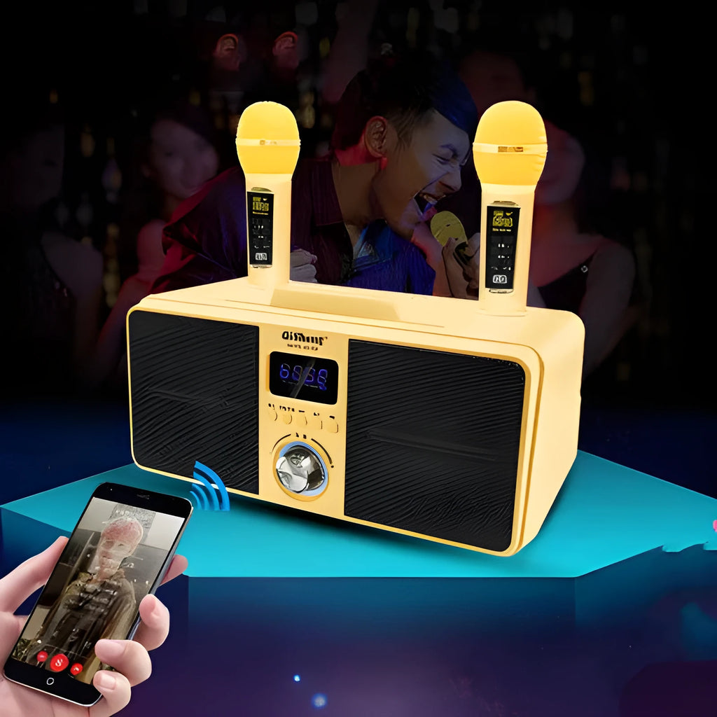 Black home KTV Bluetooth speaker with dual wireless microphones for mobile phone karaoke