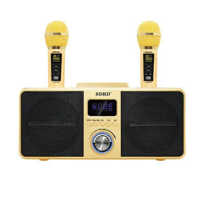 Black home KTV Bluetooth speaker with dual wireless microphones for mobile phone karaoke