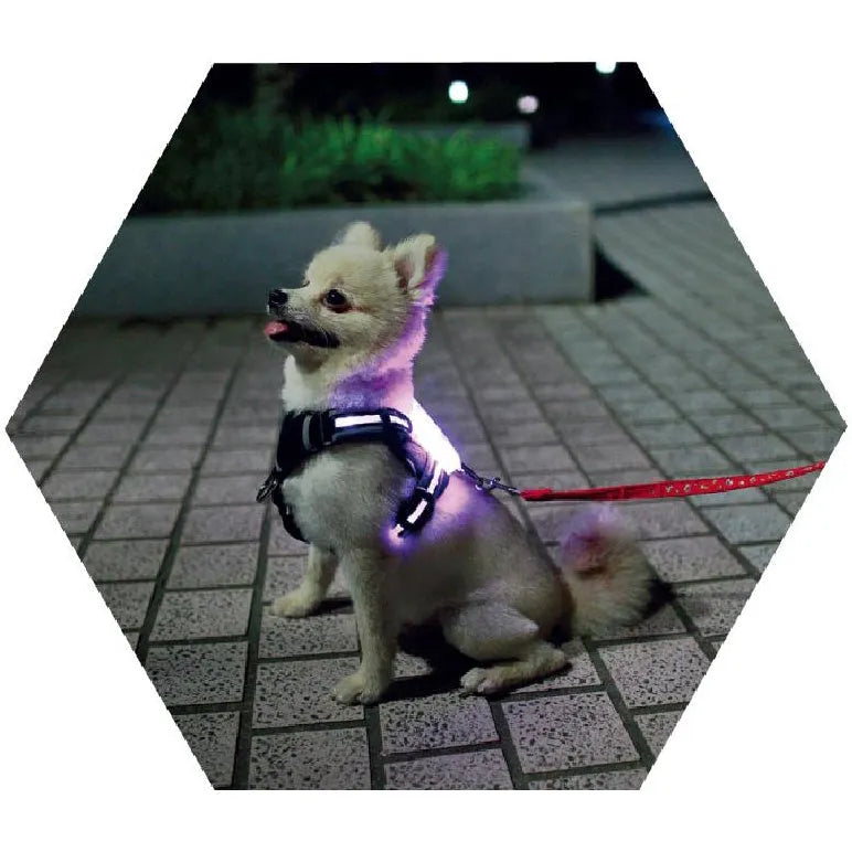LED dog collar USB rechargeable silicone for dogs with size options S M L XL 2XL