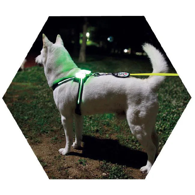 LED dog collar USB rechargeable silicone for dogs with size options S M L XL 2XL