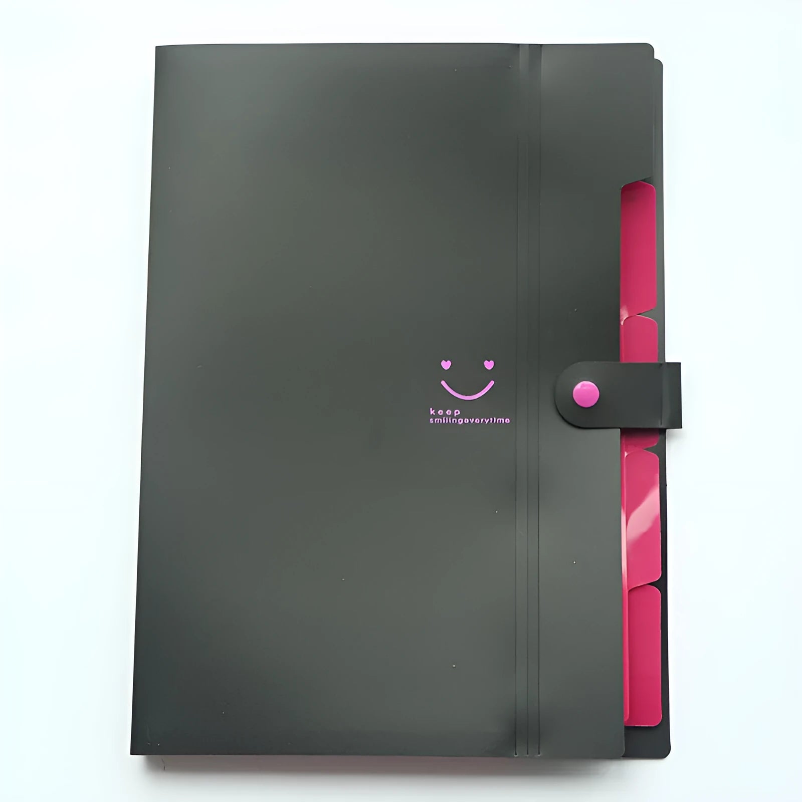 Transparent A4 plastic document file bag with coloured binding edge holding papers
