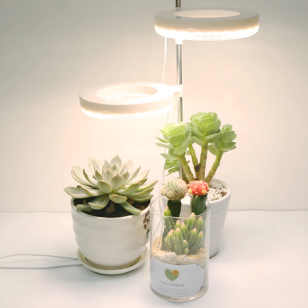 Compact LED plant growth lamp on desk with dual light heads emitting full spectrum light