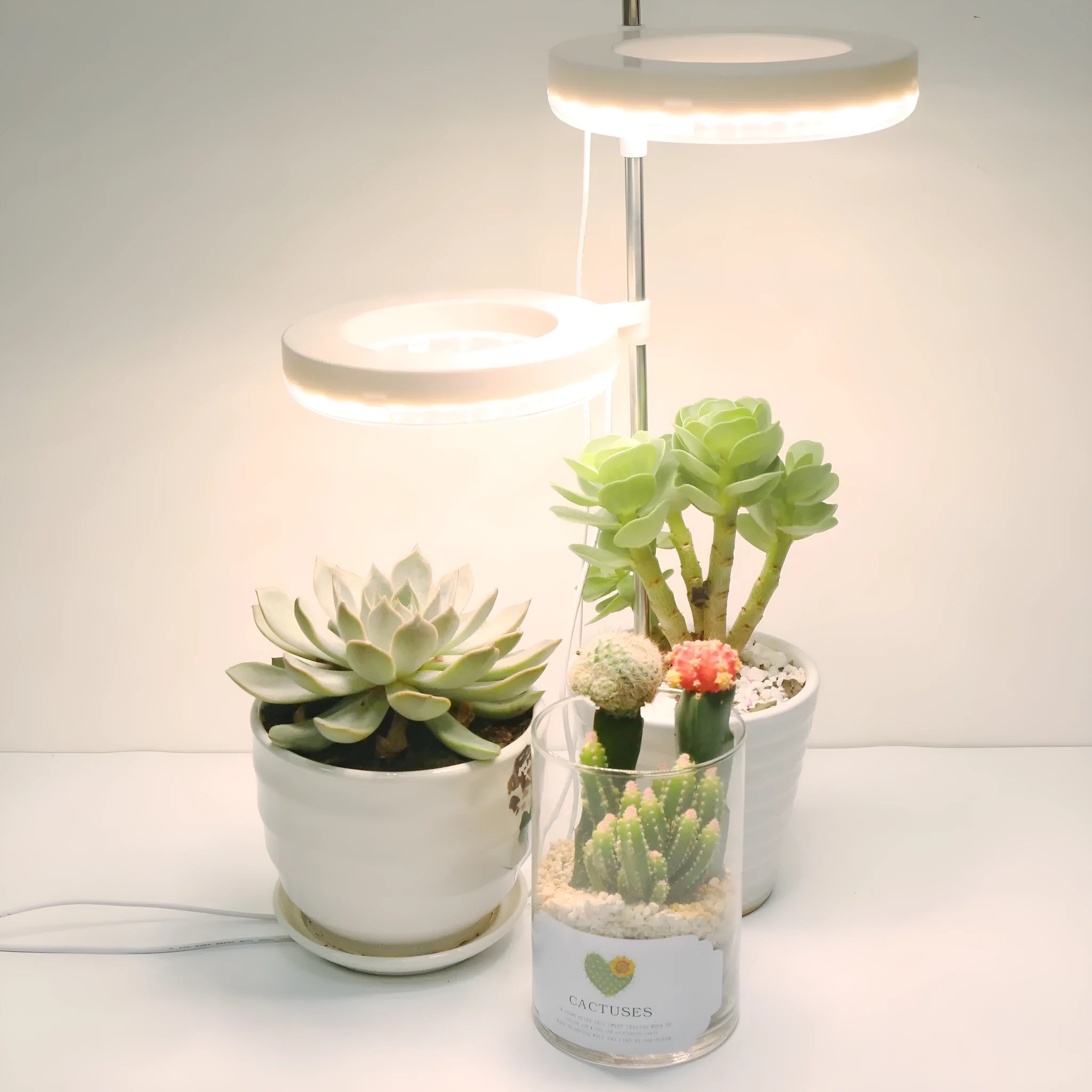 Compact LED plant growth lamp on desk with dual light heads emitting full spectrum light
