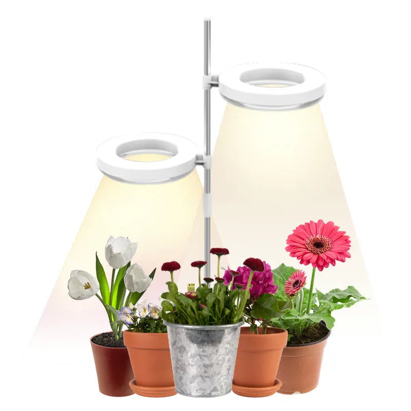 Compact LED plant growth lamp on desk with dual light heads emitting full spectrum light