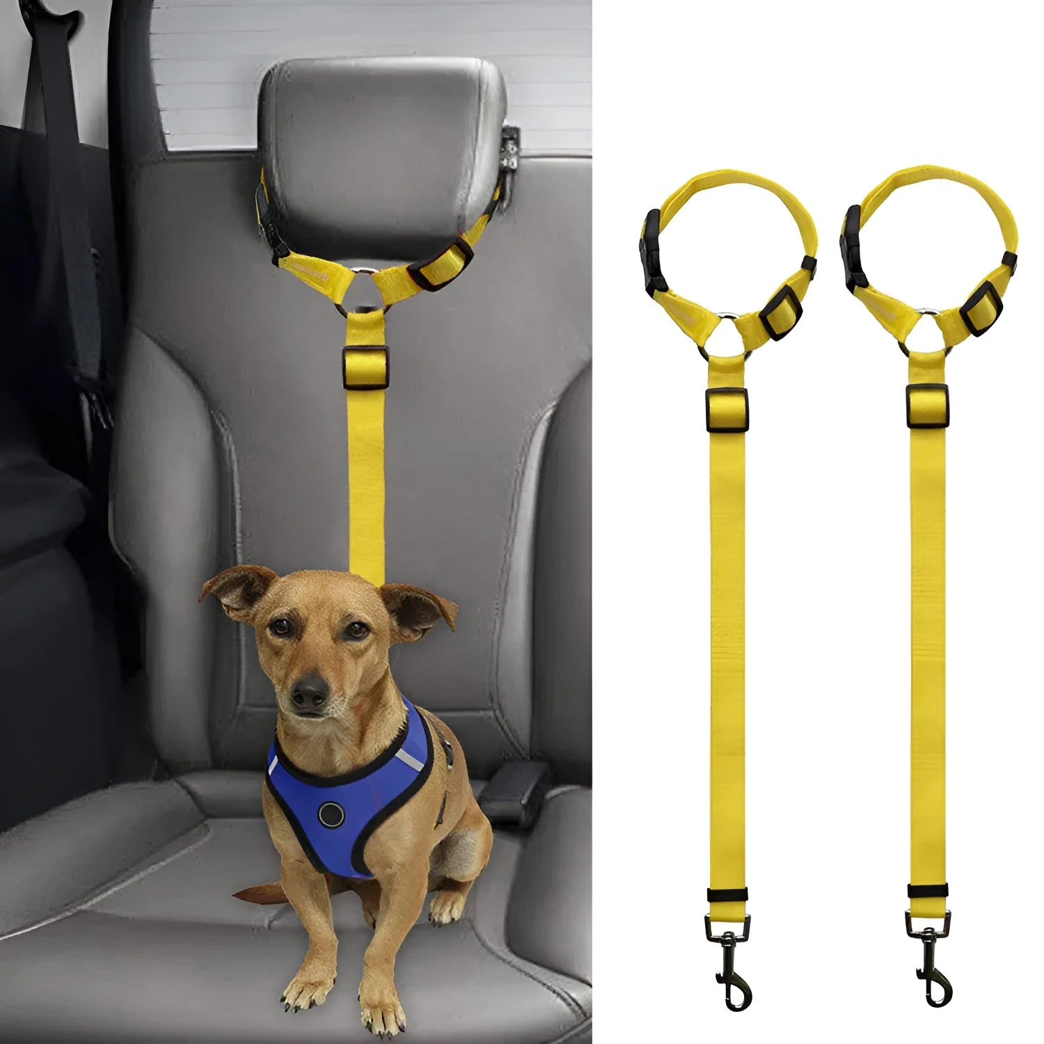 Car backseat pet leash for dogs made from polyester in nine colour options attached to a vehicle seatbelt