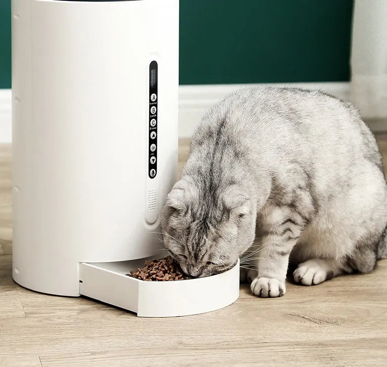 White automatic pet feeder with 4.6L capacity and timing display