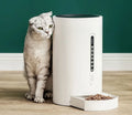 White automatic pet feeder with 4.6L capacity and timing display