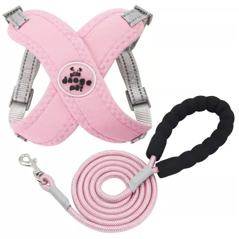 Polyester dog harness and rope lead set in blue, shown on a model dog.