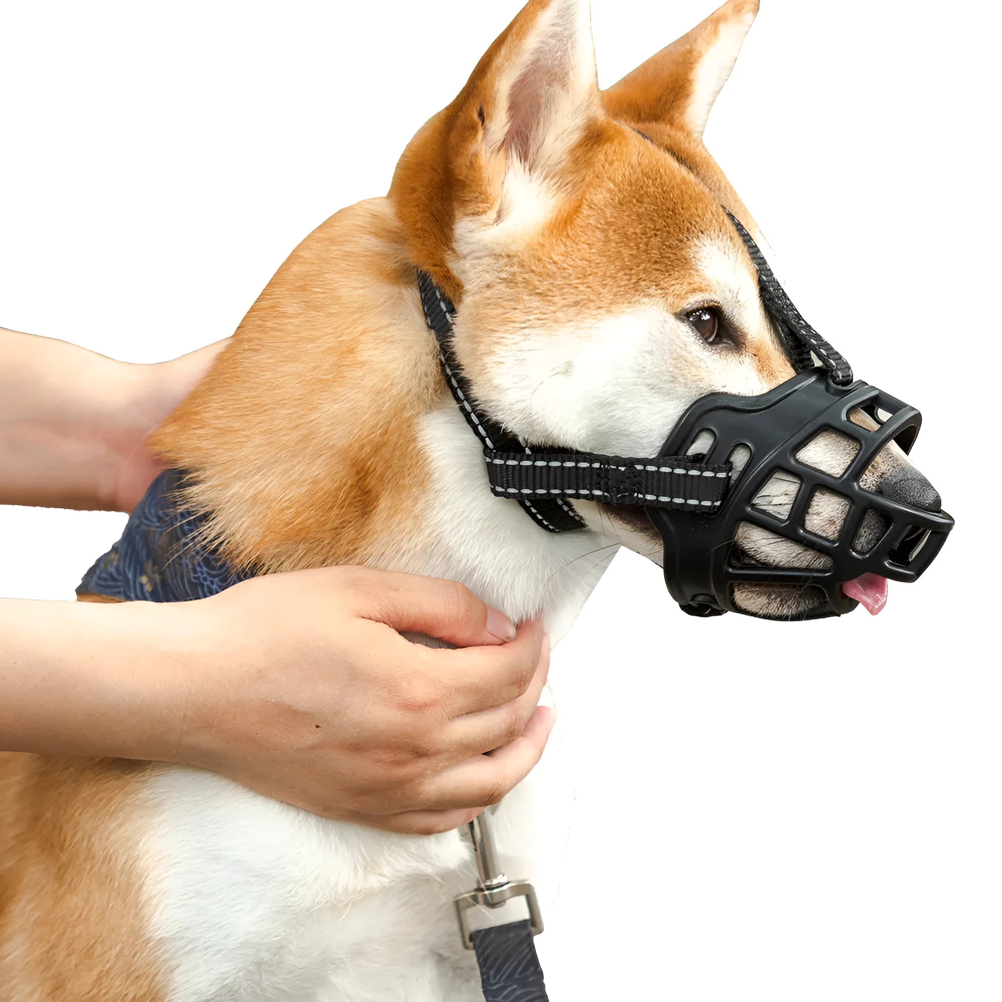 Adjustable dog muzzle made from soft rubber, available in black and yellow, six sizes from 18cm to 43cm