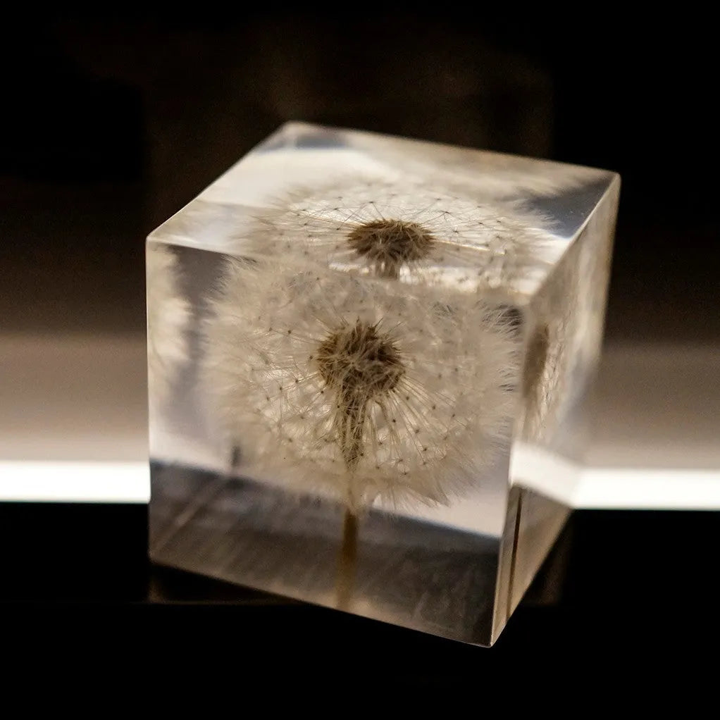 5cm clear resin cube with preserved dandelion flower inside, wooden box and USB charging base