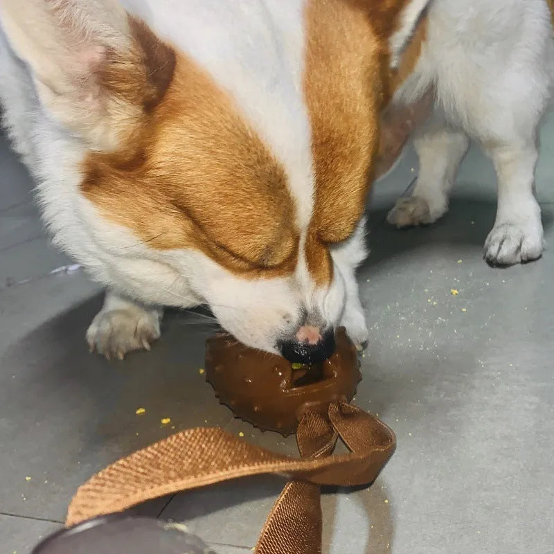 Coffee bean shaped dog chew toy with textured surface and visible rope knot interior for tooth cleaning
