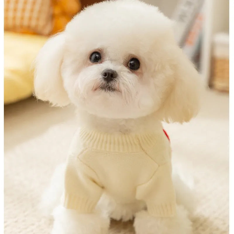 White knitted small dog sweater with rainbow Apple embroidery and green smiley face on a pet
