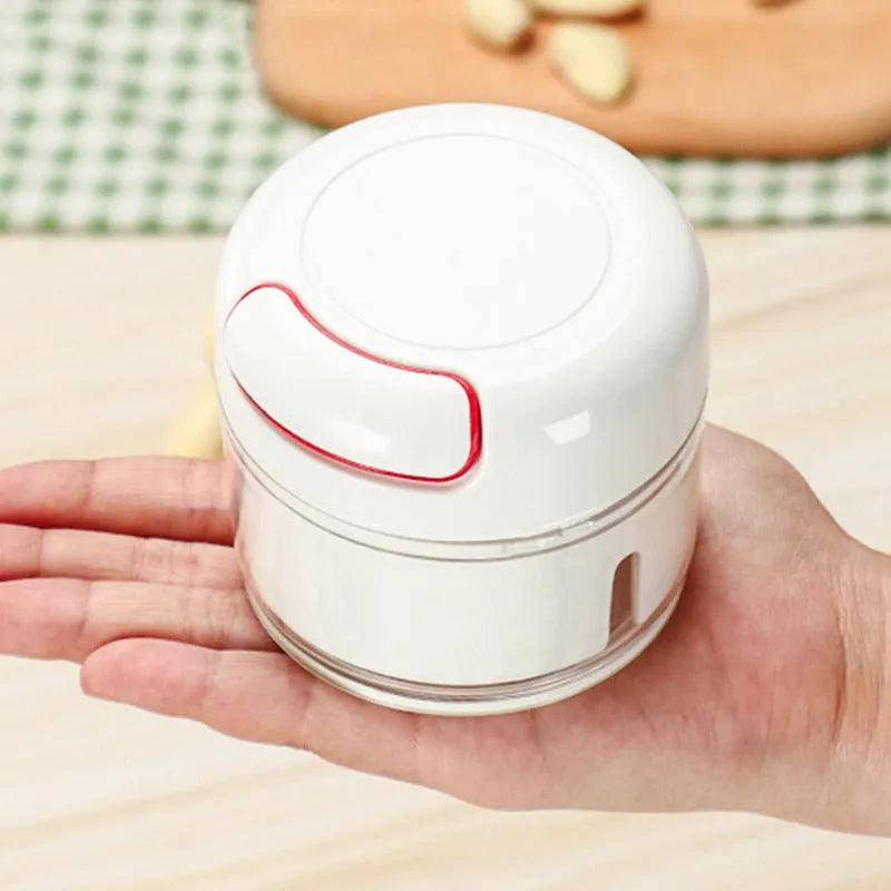 Compact manual food chopper with plastic housing and stainless steel blades for vegetable preparation