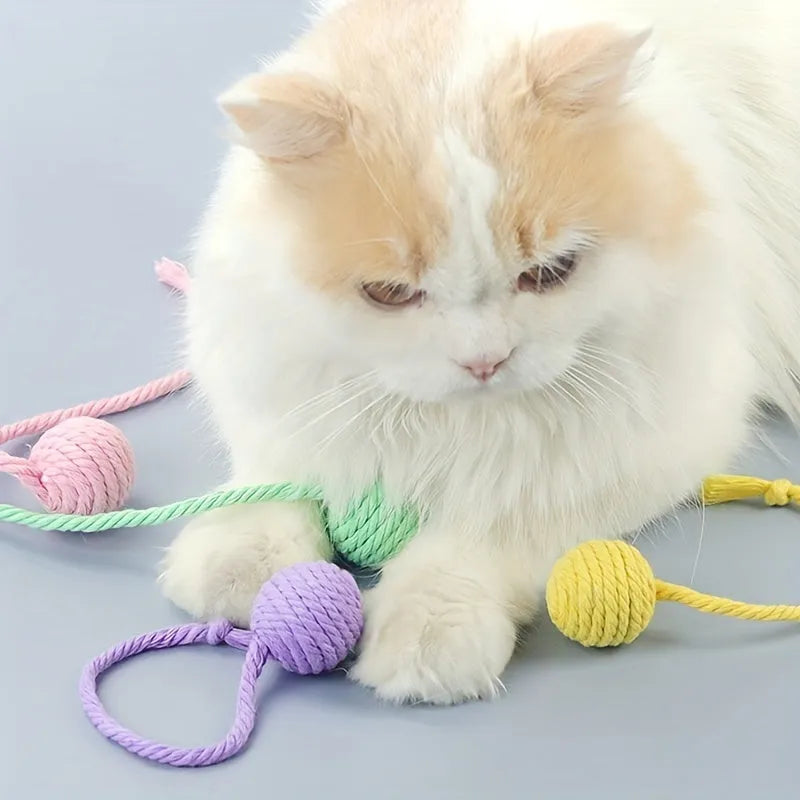 Colourful cat toy ball with an attached rope and built-in bell for kittens, shown in green, pink, purple, and yellow.