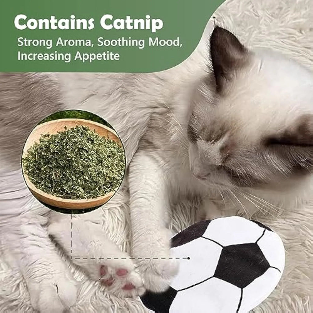 Interactive plush flying disc cat toy with sports ball pattern, containing catnip and crinkle sound.