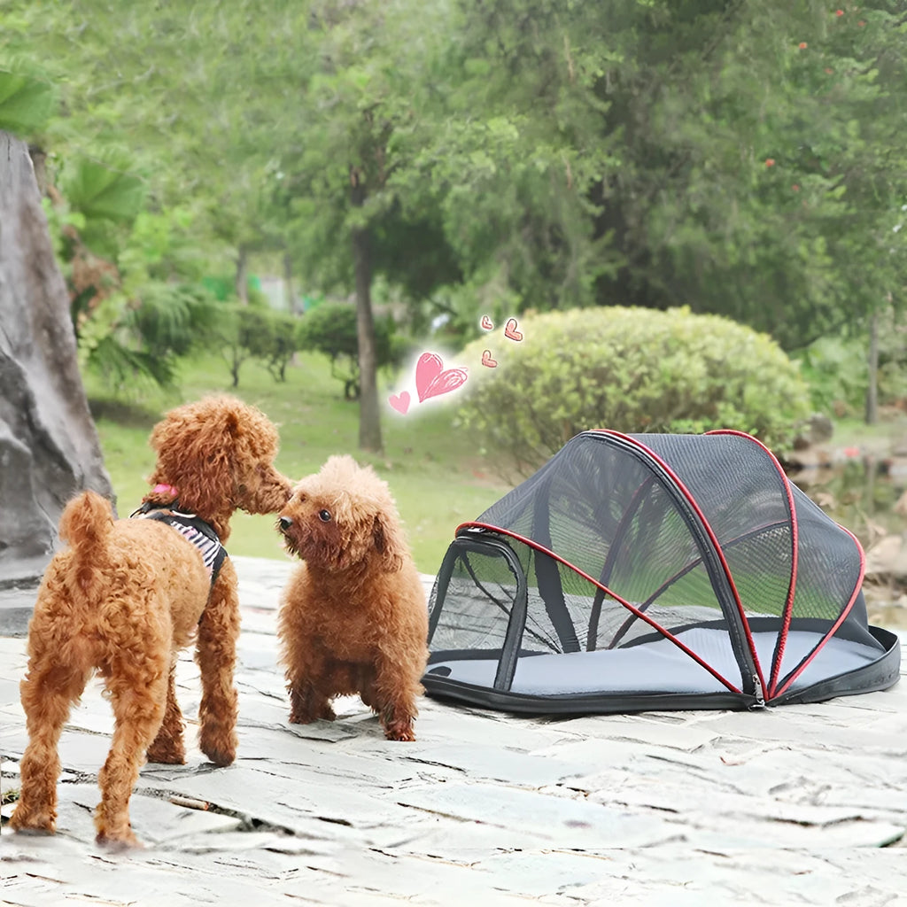 Portable folding cloth tent for cats with mesh side panels and a carry handle.