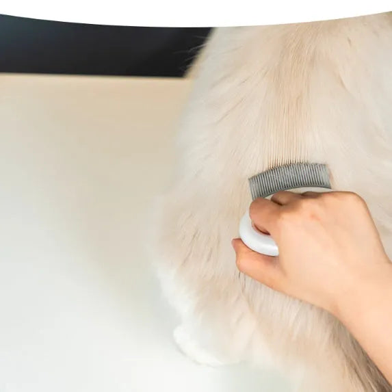 Cat hair comb plastic grooming tool to remove floating fur available in multiple colours