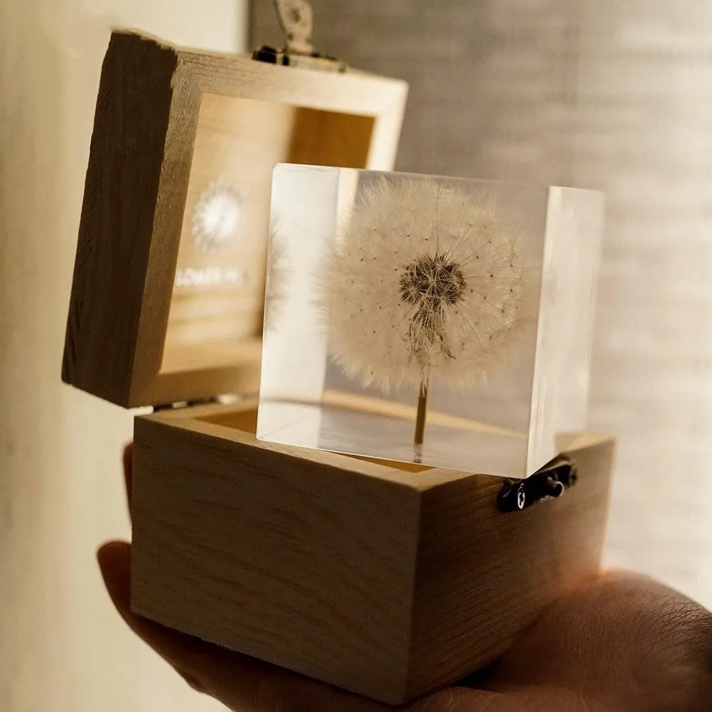 5cm clear resin cube with preserved dandelion flower inside, wooden box and USB charging base