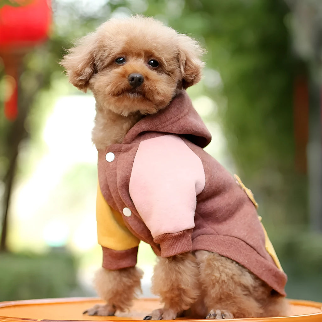 Brown cotton dog sweatshirt for casual wear, shown in size medium.