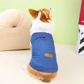 Corgi dog wearing dark blue denim cotton coat with size label visible