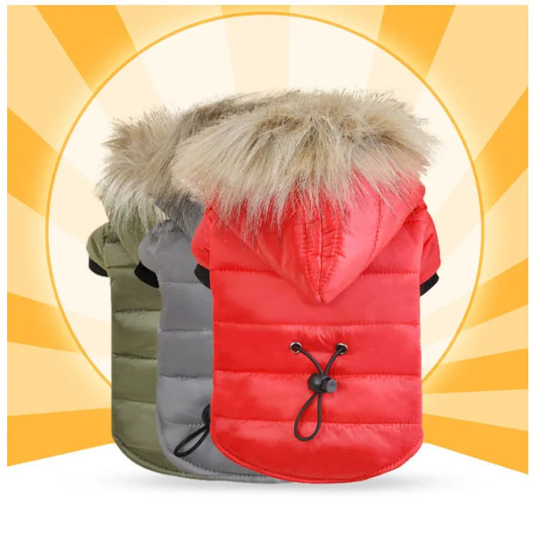 Pet down jacket cotton antibacterial dog coat in various colours for small to large breeds