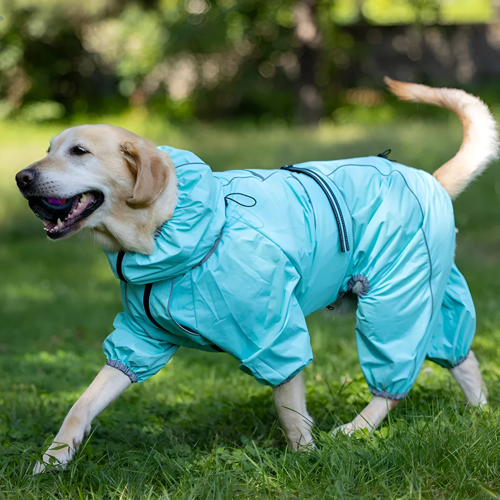 Dog wearing red cotton-padded shell jacket with sports style design