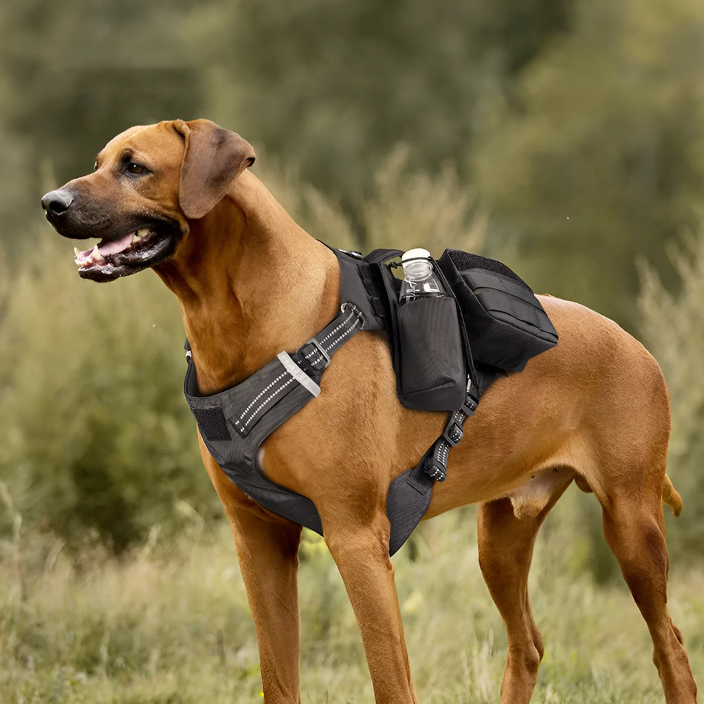 Nylon black dog chest strap harness with adjustable straps for walking, minimalist design