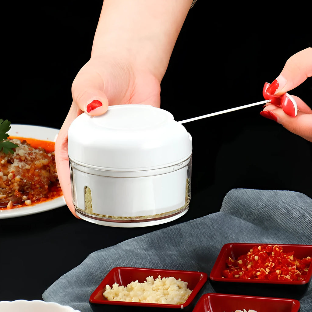 Compact manual food chopper with plastic housing and stainless steel blades for vegetable preparation