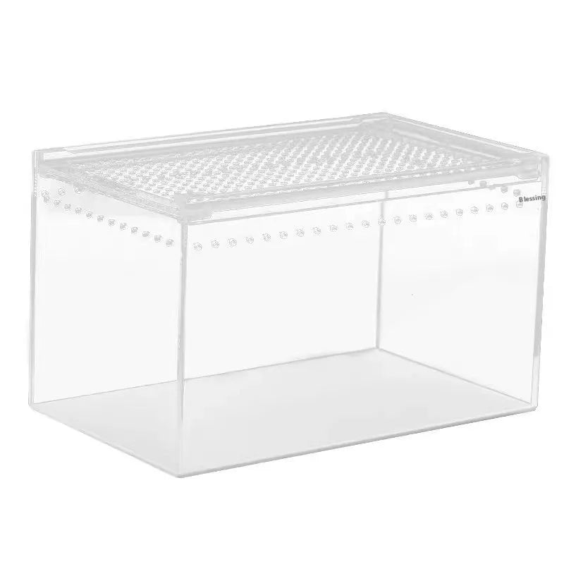 Clear acrylic reptile feeding box with crawl-through opening showing size options